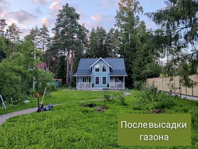 Благоустройство участка после дренажа: дорожка и посев газона